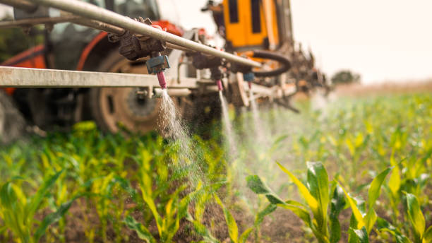 Best Commercial Pest Control Services  in Meadow Oaks, FL